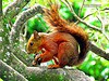 /album/fotogaleria/a2-jpg/