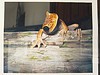 /album/fotogaleria/a4-jpg/