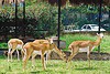 /album/fotogaleria/a6-jpg/
